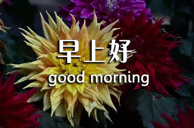 短句真诚问候祝你早上愉快,祝你开心早安心语