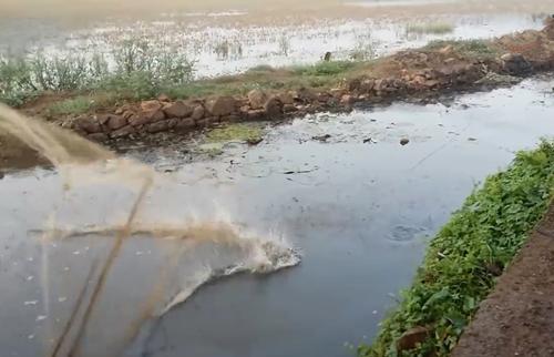 不被大伙注意的水沟，撒网下去后没动静，亲自下水收网，惊喜来了