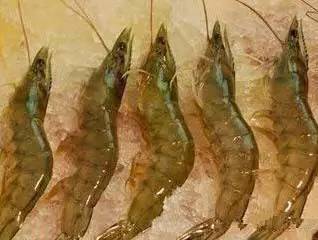 日照有什么好玩的地方,日照金山