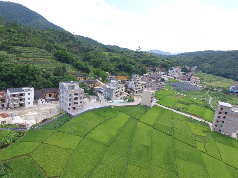 云浮打造特色乡村振兴项目,阳江云浮乡村振兴