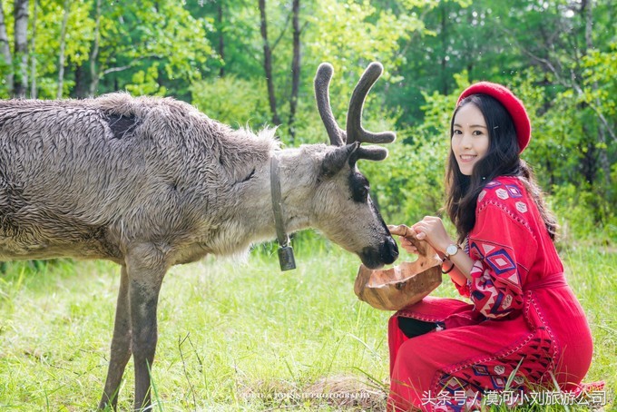 呼伦贝尔漠河旅游包车攻略,呼伦贝尔漠河十天自驾游攻略