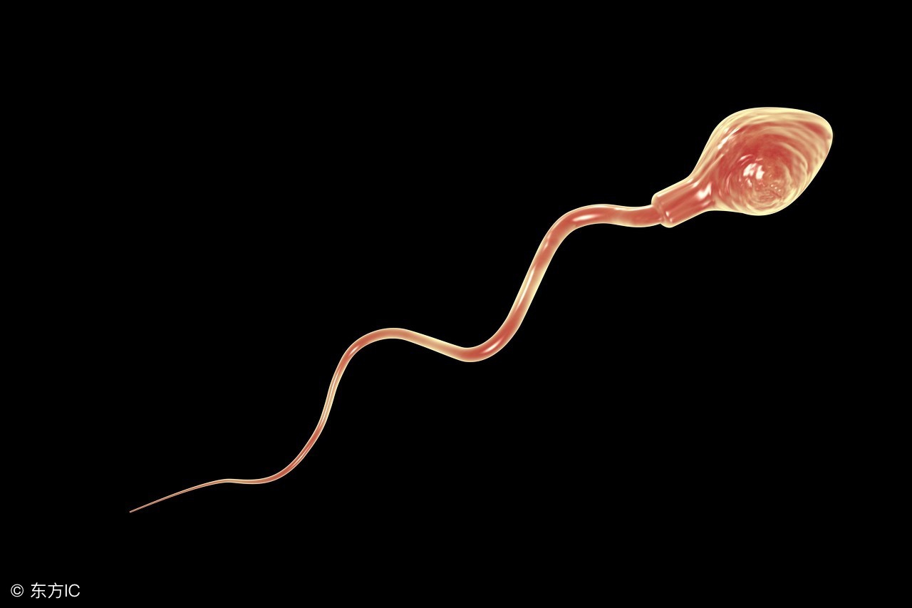 治男人出轨小妙招不看必后悔,防止男人厌倦你的唯一方法