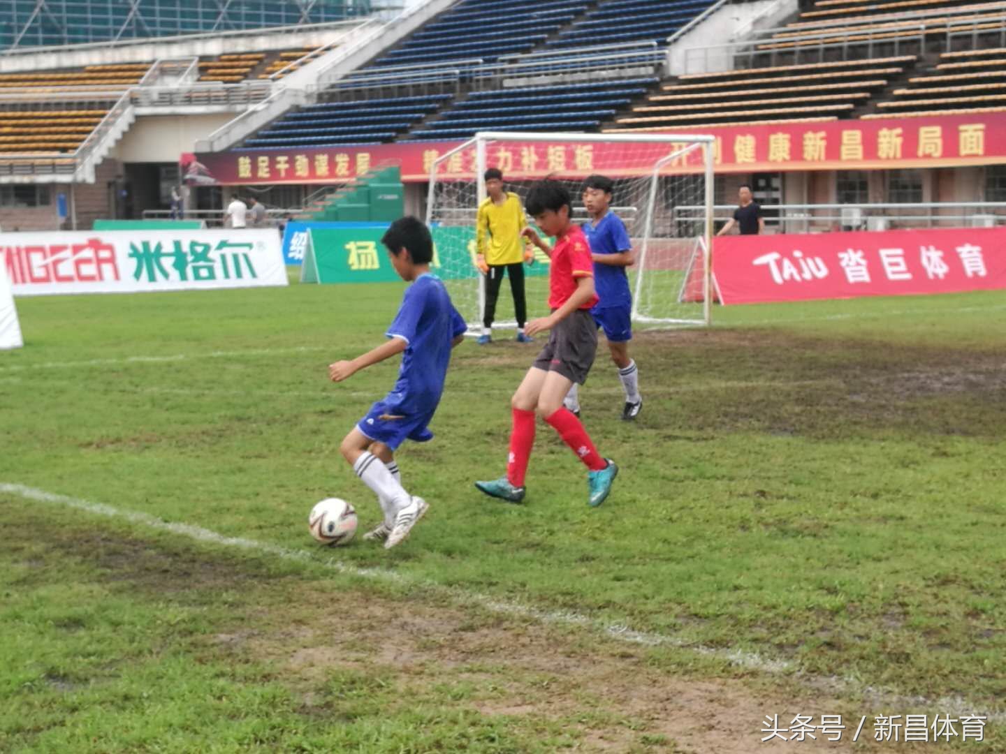 少年足球大赛完整版,少年足球比赛