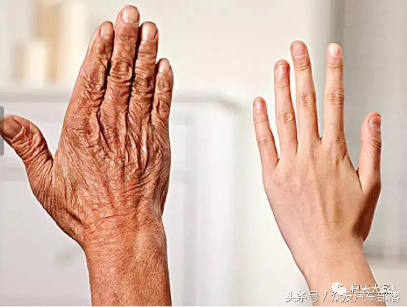 枸杞泡一大杯直接吃有什么好处,枸杞这样泡男性必看