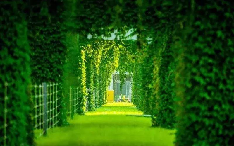 成都市区绿野仙踪,绿野仙踪成都二环