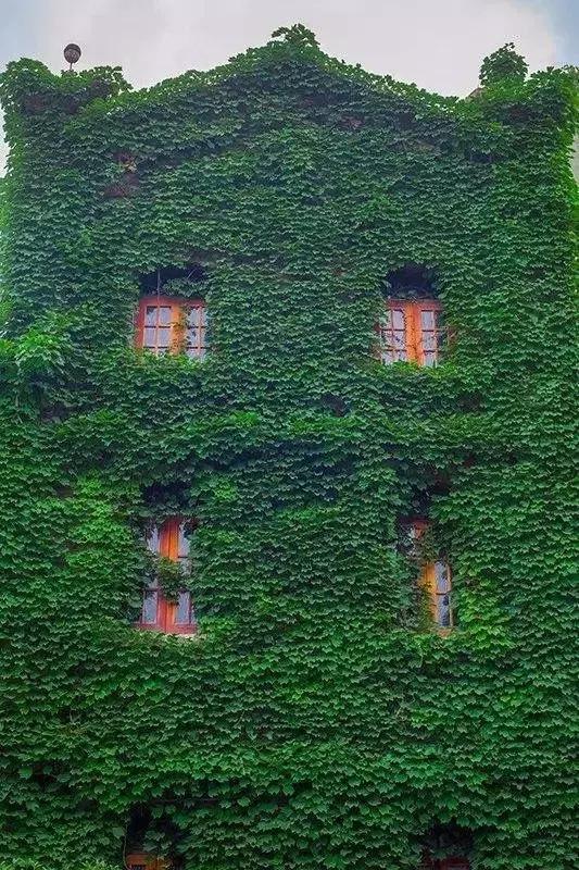 成都市区绿野仙踪,绿野仙踪成都二环