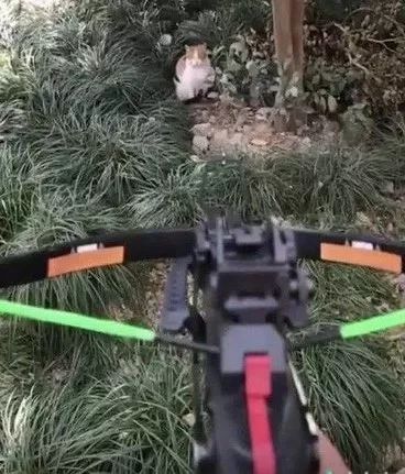 绑架杀人、运毒、赌博，QQ群和百度贴吧可怕黑幕，终于被央视曝光