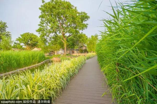 北京惊艳的地方,北京江南古镇风景