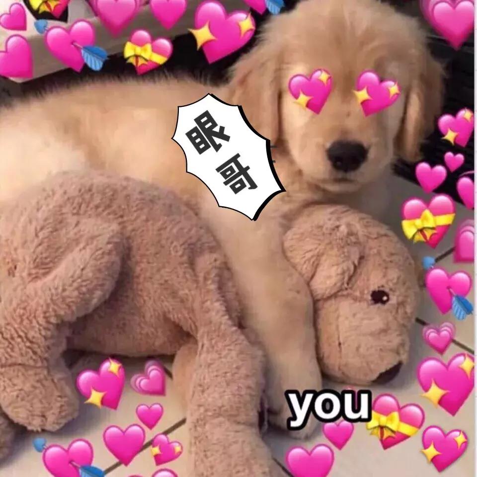 新加坡学生签证被取消,新加坡还需要学生签证吗