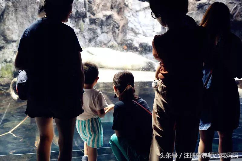 第一次带娃出国就选这！攻略都准备好啦