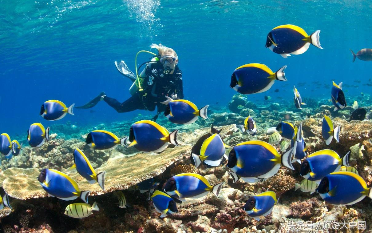 泰国普吉岛十大潜水景点介绍,泰国普吉十大潜水景点排名第一名