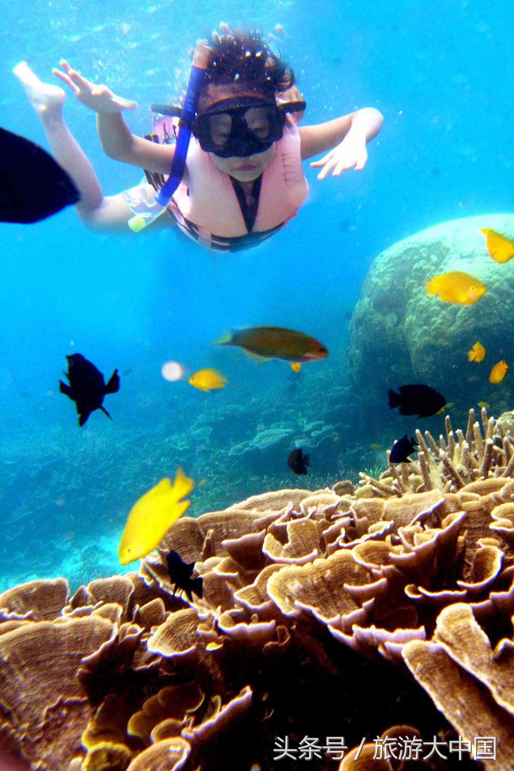 泰国普吉岛十大潜水景点介绍,泰国普吉十大潜水景点排名第一名