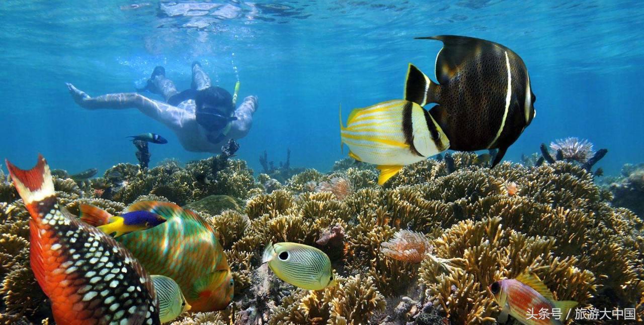 泰国普吉岛十大潜水景点介绍,泰国普吉十大潜水景点排名第一名