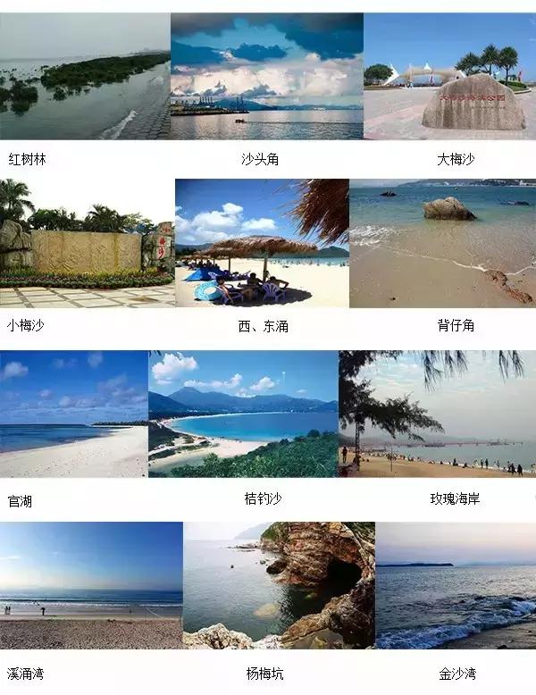 我叫深圳，这是我的个人简历，请查看！