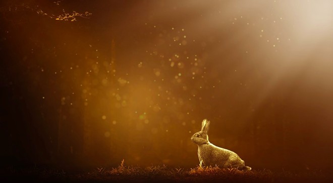 债券市场最新行情信用债,债券市场行情中长债