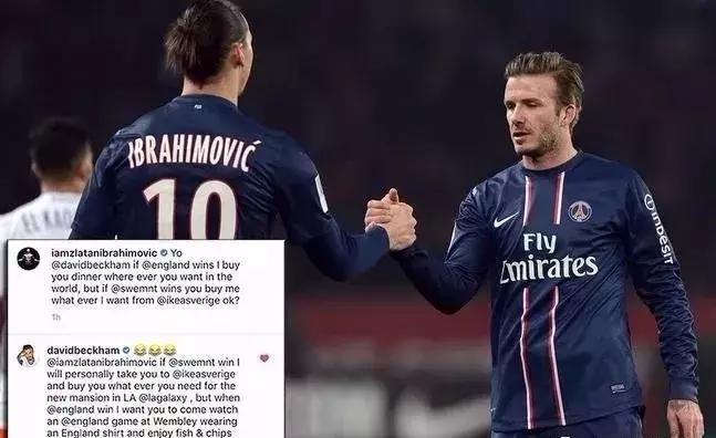 锦湖说世界杯：带你胡侃世界杯之三喵军团（爆笑图文，不容错过）