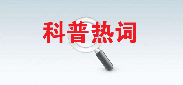 你喜欢在网上搜的，脱不了这个圈！这份报告映着你明亮的小心思！