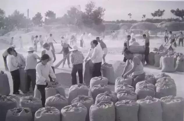 阎良这座城,阎良是一个什么样的城市