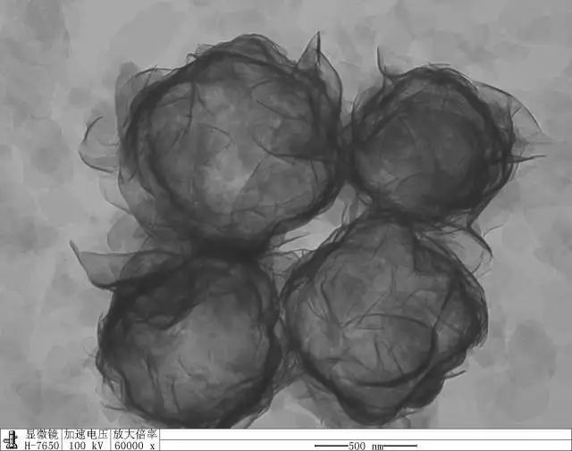 微观世界|这样的世界杯,你见过吗?