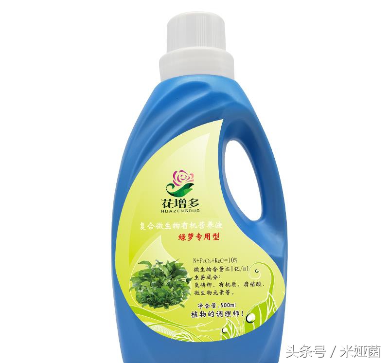 富贵竹怎么处理不会缩水起皱,富贵竹怕冻怎么处理