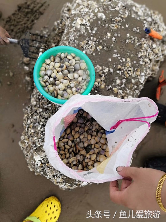 东疆港和北戴河哪个好玩,两宝妈带孩子自驾游