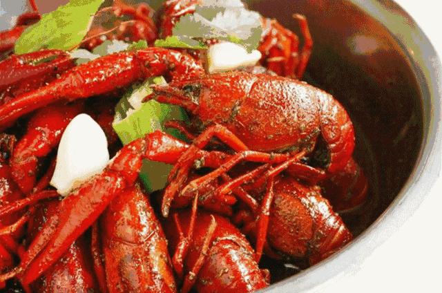 齐山星空露营节,齐岳山露营基地音乐节