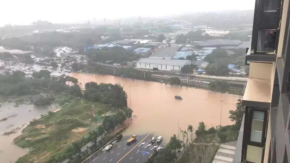 成都诺亚方舟最新新闻,成都诺亚方舟2020