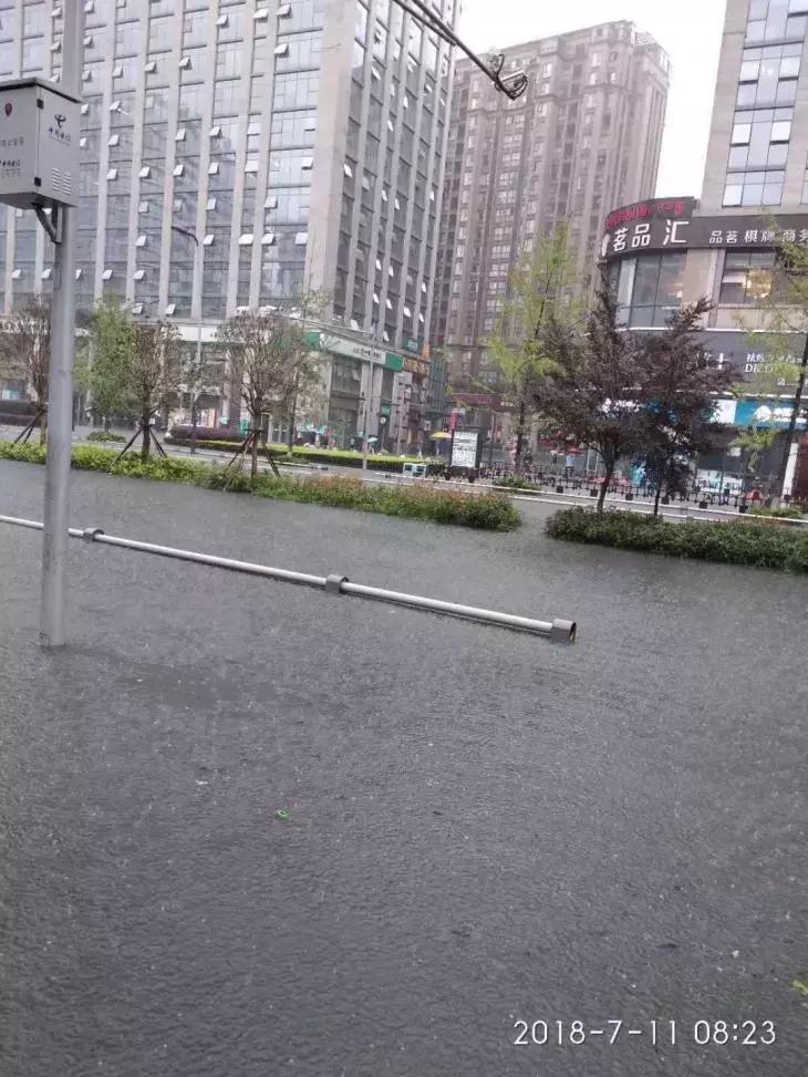 成都诺亚方舟最新新闻,成都诺亚方舟2020