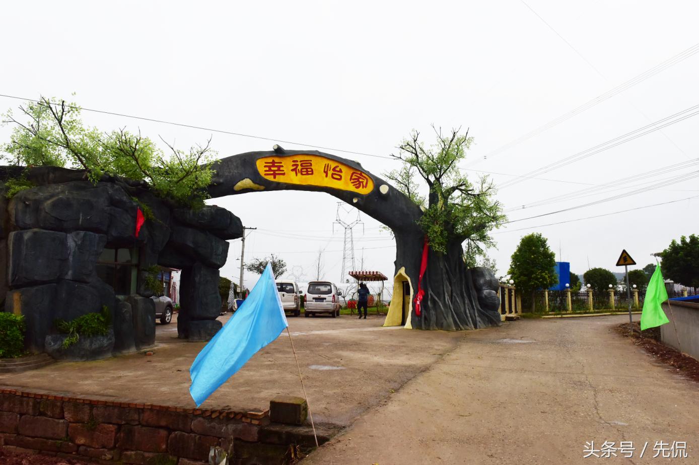 南充顺庆：大林镇产业“梦之队”打好发展“攻势足球”