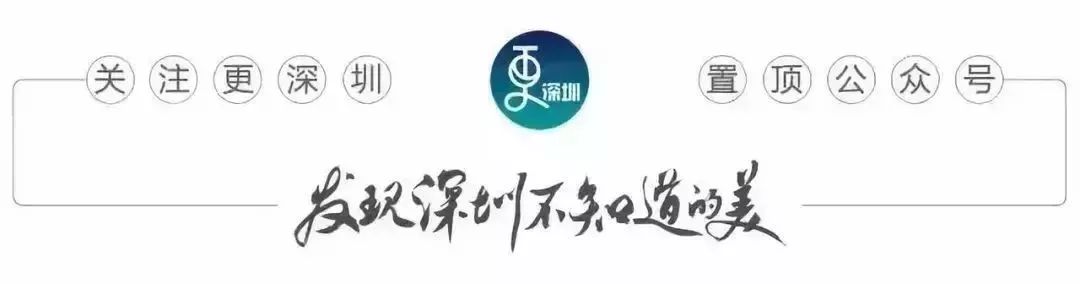 66岁老人因颜值走红年轻时的照片,66岁老人因颜值走红年轻时候照片