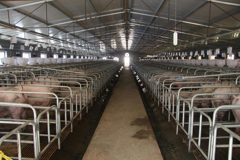 2018寻找中国美丽猪场—走进山西襄垣县大华宇牧业有限公司