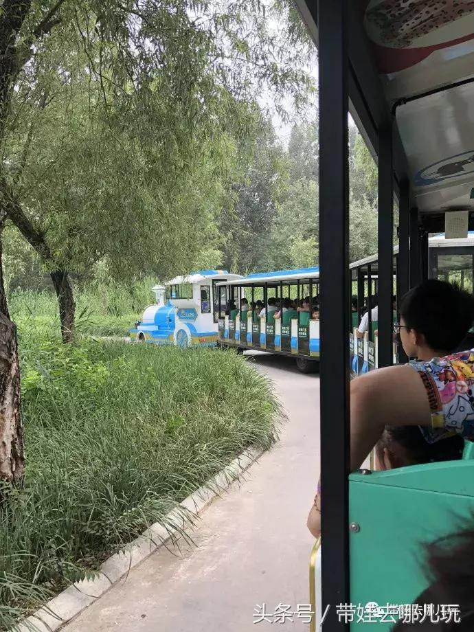 长隆野生动物园一日游简单攻略,长隆野生动物园两天一晚游玩攻略