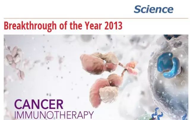细胞免疫治疗肿瘤什么时间推行的,细胞免疫治疗学