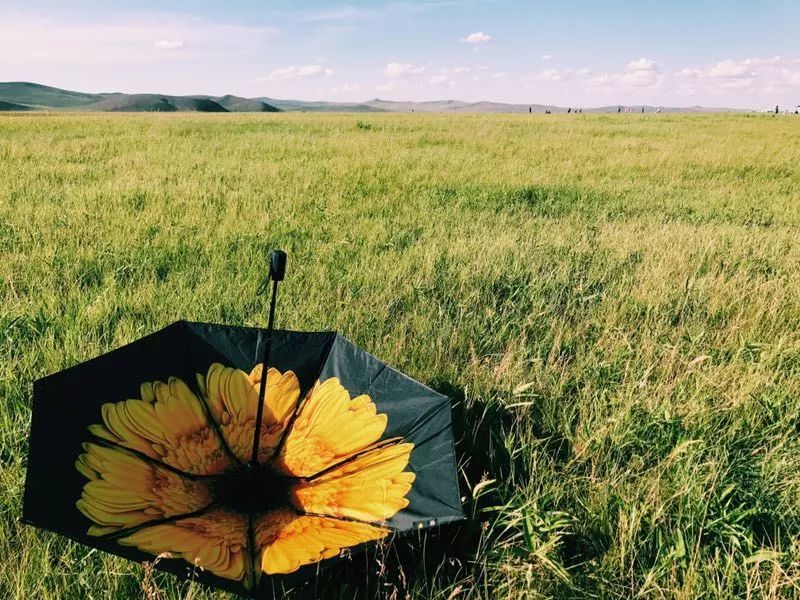 宁波飞往呼伦贝尔大草原,厦门呼伦贝尔直飞航班