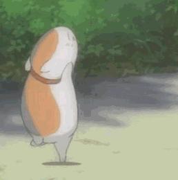 武汉下雨推荐去的地方,武汉室内凉快玩的地方