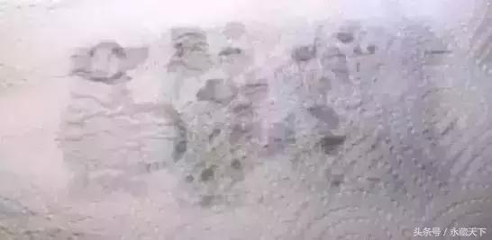 一张两角钱的纸币价值上万,一张纸币价值上万元