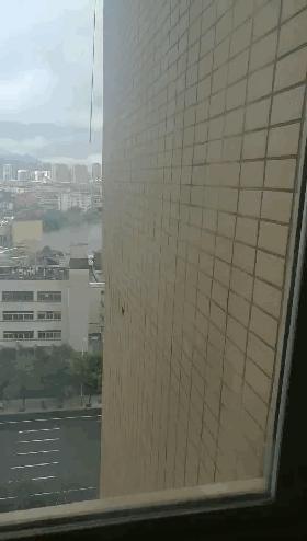 台风外墙脱落怎么处理,台风玛莉亚掀翻厂房的原因