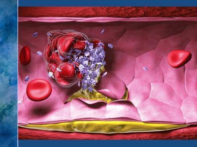 检查tsh当天要吃优甲乐吗,体检发现tsh和t4高