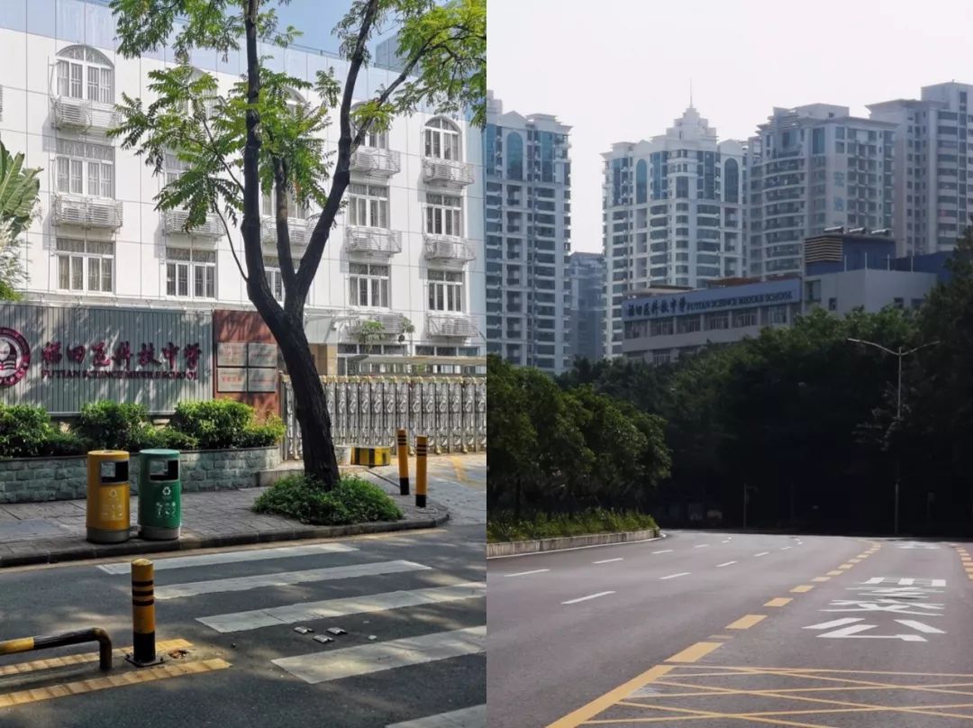 深圳福田荔园外国语深南校区楼盘,深圳市福田实验学校楼盘