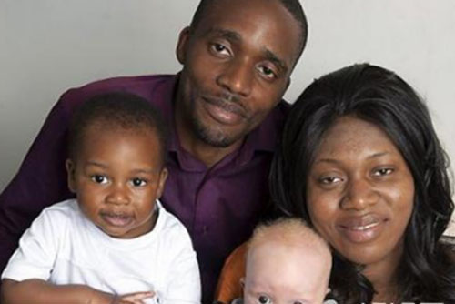 遗传决定论是否正确,遗传决定论的有关实验