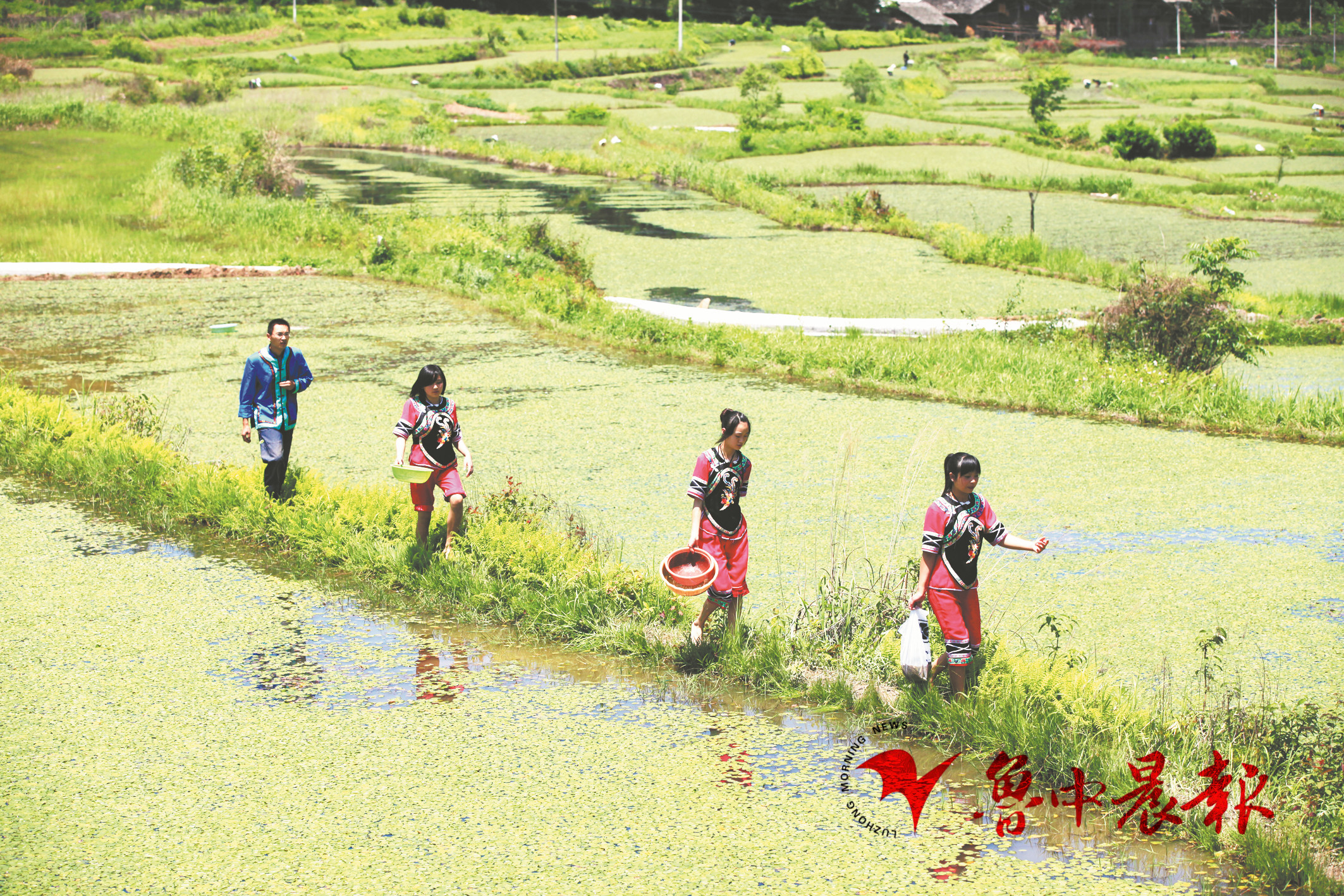 淄博为城市发展添活力,淄博旅游业作用