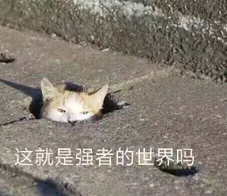 「沙富济贫」「马不停踢」稳中带皮的世界杯成语你知道吗？