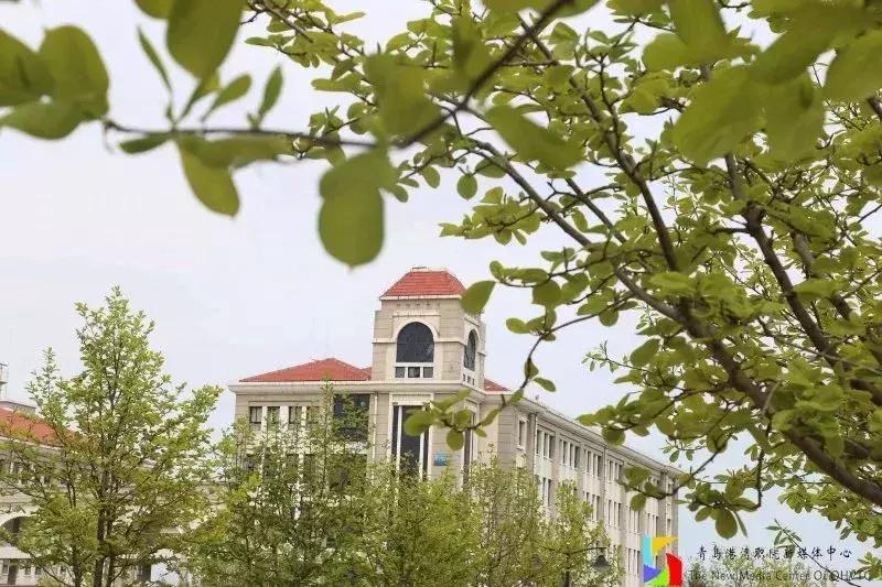 青岛港湾职业学院报考条件,青岛高考志愿填报推荐