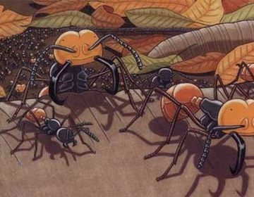 蚂蚁才是地球上进化最完美的生物,蚂蚁是人类进化的最高阶梯吗