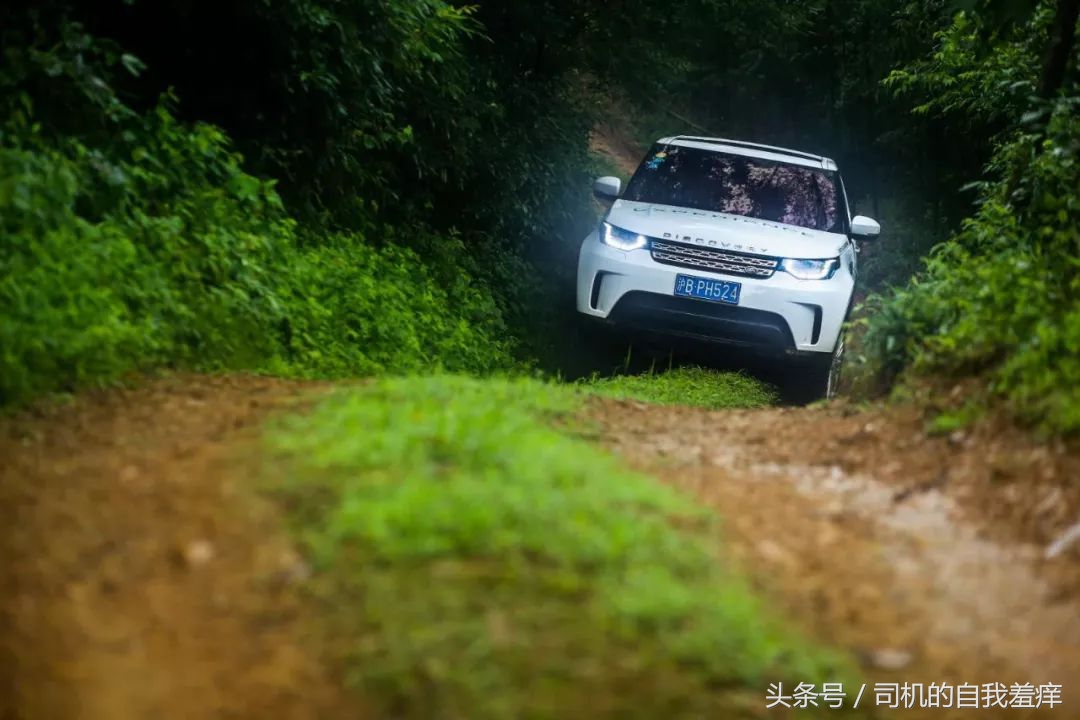 如果你想体验征服感，那养一头猛虎应该是不错的选择