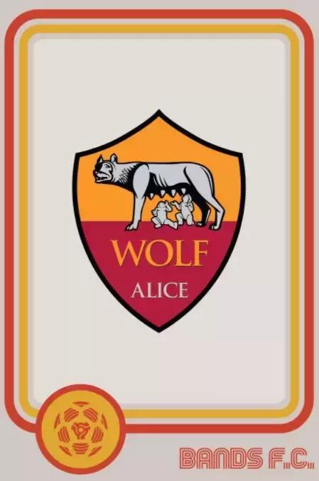 假如这些乐队是一支足球队