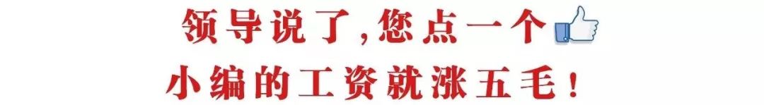 零下30°c保暖袜测评,零下30度都能穿的雪地袜