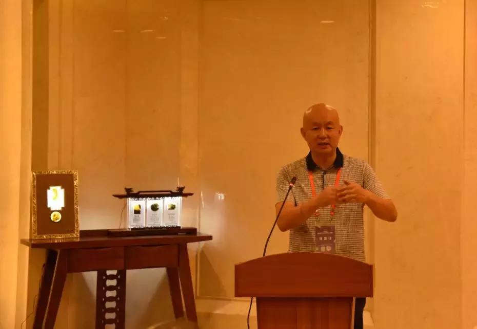 黄龙玉水草花亮点,顶级黄龙玉水草花