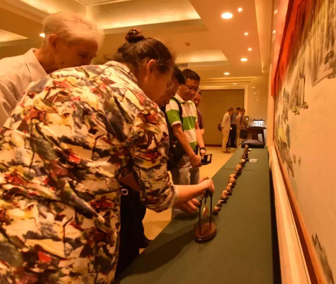 黄龙玉水草花亮点,顶级黄龙玉水草花