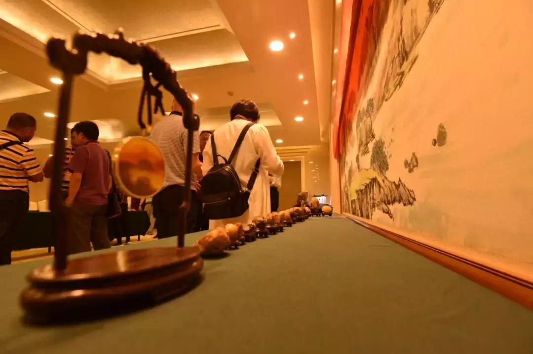 黄龙玉水草花亮点,顶级黄龙玉水草花